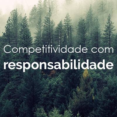 Competitividade com responsabilidade